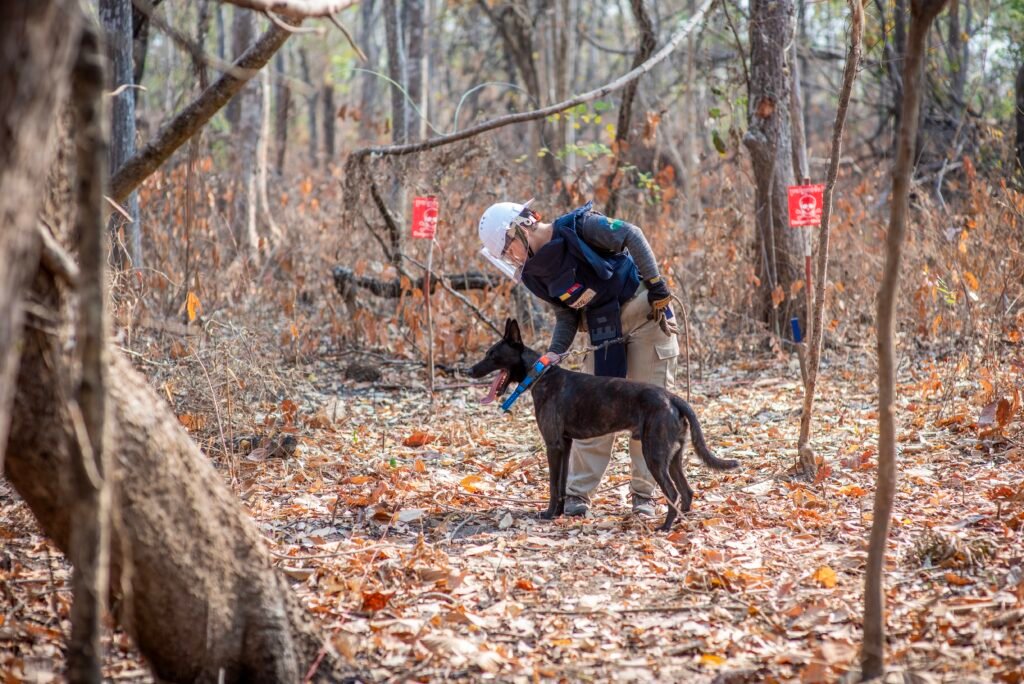 Apopo Photo Ukranine Kateryna with dog Ngam in forest